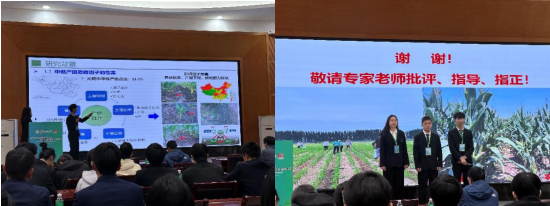 葡京娱乐