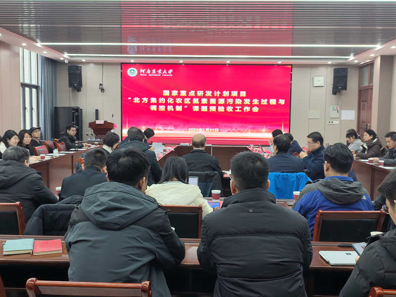 �Ͼ�����