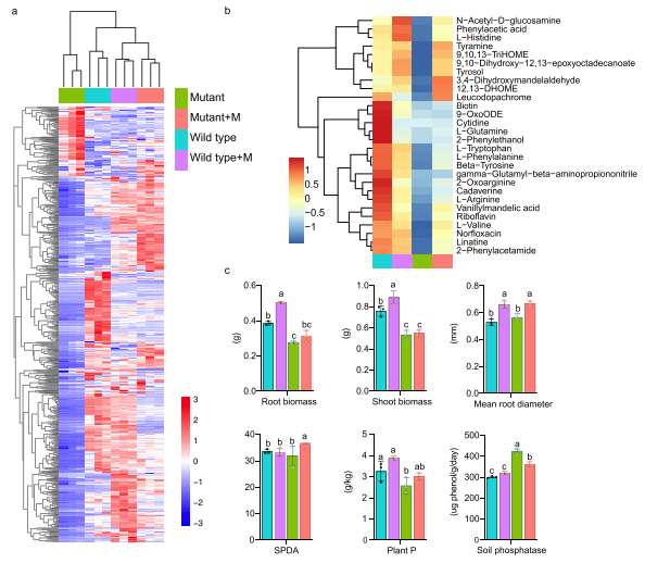 �Ͼ�����