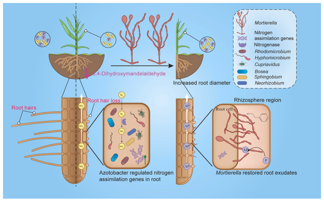 �Ͼ�����