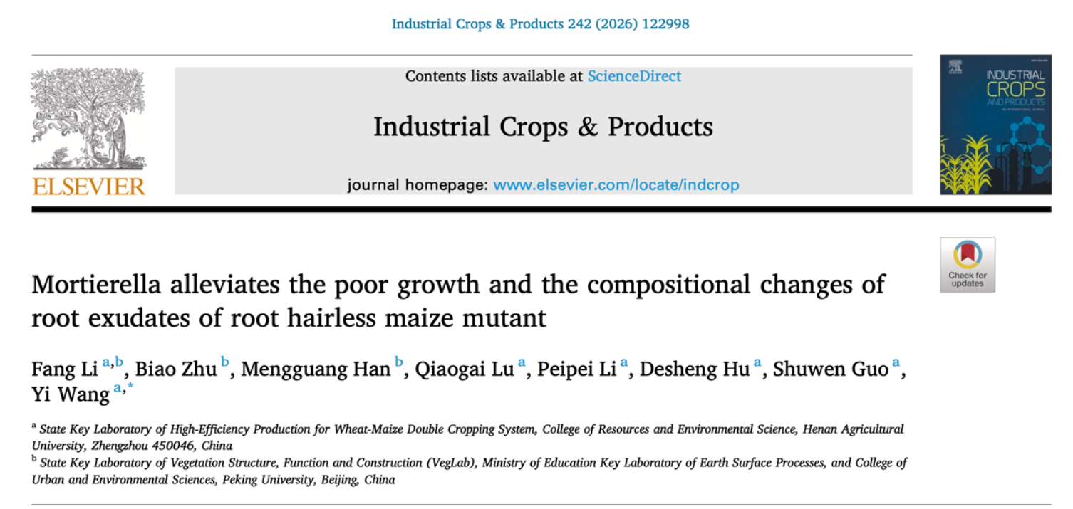 �Ͼ�����