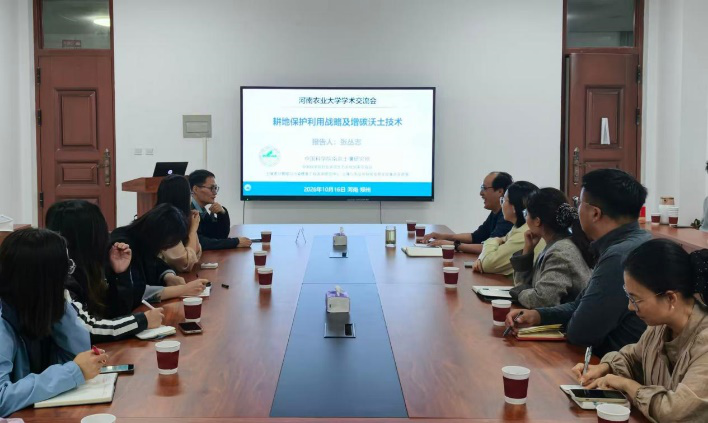 �Ͼ�����