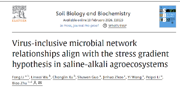 �Ͼ�����