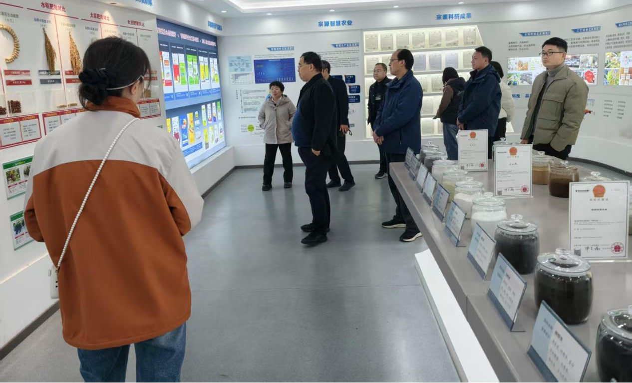 �Ͼ�����